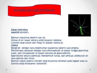 KLASIFIKASI COELENTERATA




Kelas Hydrozoa
memiliki ciri-ciri :

Bentuk tubuhnya seperti ular air.
Hidup di air tawar sec...