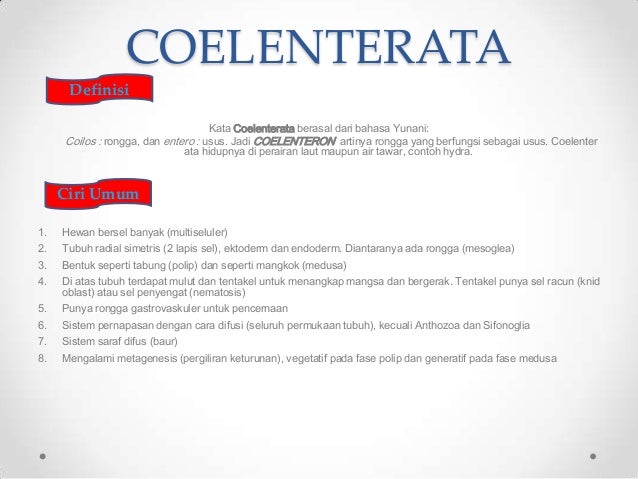 Power Point Coelenterata