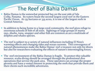 The Reef of Bahia Damas<br />Bahia Damas is the somewhat protected bay on the east side of Isla Coiba, Panama.  Its waters...