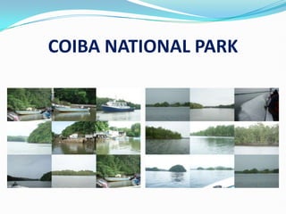 COIBA NATIONAL PARK<br />
