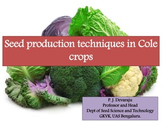 Seed production techniques in Cole
crops
P. J. Devaraju
Professor and Head
Dept of Seed Science and Technology
GKVK, UAS Bengaluru.
 