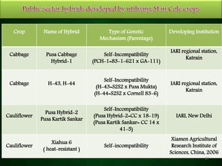 Crop Name of Hybrid Type of Genetic
Mechanism (Parentage)
Developing Institution
Cabbage Pusa Cabbage
Hybrid-1
Self-Incompatibility
(PCH-1=83-1-621 x GA-111)
IARI regional station,
Katrain
Cabbage H-43, H-44
Self-Incompatibility
(H-43=S2S2 x Pusa Mukta)
(H-44=S2S2 x Cornell 83-6)
IARI regional station,
Katrain
Cauliflower
Pusa Hybrid-2
Pusa Kartik Sankar
Self-Incompatibility
(Pusa Hybrid-2=CC x 18-19)
(Pusa Kartik Sankar= CC 14 x
41-5)
IARI, New Delhi
Cauliflower
Xiahua 6
( heat-resistant )
Self-incompatibility
Xiamen Agricultural
Research Institute of
Sciences, China, 2006
27
 