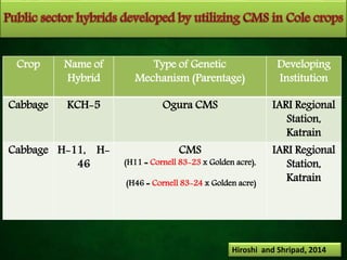 Crop Name of
Hybrid
Type of Genetic
Mechanism (Parentage)
Developing
Institution
Cabbage KCH-5 Ogura CMS IARI Regional
Station,
Katrain
Cabbage H-11, H-
46
CMS
(H11 = Cornell 83-23 x Golden acre),
(H46 = Cornell 83-24 x Golden acre)
IARI Regional
Station,
Katrain
30Hiroshi and Shripad, 2014
 