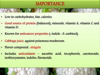 IMPORTANCE
• Low in carbohydrates, fats, calories.
• Good source of protein (balanced), minerals, vitamin A, vitamin C and
vitamin D.
• Known for anticancer properties (-indole -3-carbinol).
• Cabbage juice: against poisonous mushroom.
• Flavor compound : sinigrin
• Includes antioxidants – ascorbic acid, tocopherols, carotenoids,
isothiocyanates, indoles, flavanoids.
 