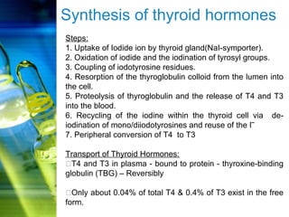 Synthesis of thyroid hormones 
Steps: 
1. Uptake of Iodide ion by thyroid gland(NaI-symporter). 
2. Oxidation of iodide and the iodination of tyrosyl groups. 
3. Coupling of iodotyrosine residues. 
4. Resorption of the thyroglobulin colloid from the lumen into 
the cell. 
5. Proteolysis of thyroglobulin and the release of T4 and T3 
into the blood. 
6. Recycling of the iodine within the thyroid cell via de-iodination 
of mono/diiodotyrosines and reuse of the I‾ 
7. Peripheral conversion of T4 to T3 
Transport of Thyroid Hormones: 
T4 and T3 in plasma - bound to protein - thyroxine-binding 
globulin (TBG) – Reversibly 
Only about 0.04% of total T4 & 0.4% of T3 exist in the free 
form. 
 