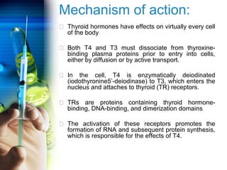 Mechanism of action: 
 Thyroid hormones have effects on virtually every cell 
of the body 
 Both T4 and T3 must dissociate from thyroxine-binding 
plasma proteins prior to entry into cells, 
either by diffusion or by active transport. 
 In the cell, T4 is enzymatically deiodinated 
(iodothyronine5’-deiodinase) to T3, which enters the 
nucleus and attaches to thyroid (TR) receptors. 
 TRs are proteins containing thyroid hormone-binding, 
DNA-binding, and dimerization domains 
 The activation of these receptors promotes the 
formation of RNA and subsequent protein synthesis, 
which is responsible for the effects of T4. 
 