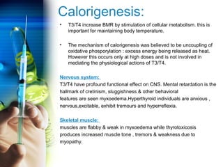 Calorigenesis: 
• T3/T4 increase BMR by stimulation of cellular metabolism. this is 
important for maintaining body temperature. 
• The mechanism of calorigenesis was believed to be uncoupling of 
oxidative phosporylation : excess energy being released as heat. 
However this occurs only at high doses and is not involved in 
mediating the physiological actions of T3/T4. 
Nervous system: 
T3/T4 have profound functional effect on CNS. Mental retardation is the 
hallmark of cretinism, sluggishness & other behavioral 
features are seen myxoedema.Hyperthyroid individuals are anxious , 
nervous,excitable, exhibit tremours and hyperreflexia. 
Skeletal muscle: 
muscles are flabby & weak in myxoedema while thyrotoxicosis 
produces increased muscle tone , tremors & weakness due to 
myopathy. 
 