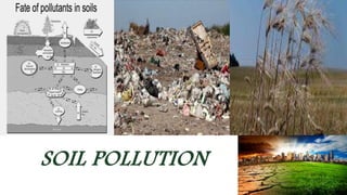 SOIL POLLUTION 
 