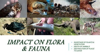 IMPACT ON FL0RA 
& FAUNA 
 SHORTAGE OF PLANTS & 
VEGETATION 
 DEATH OF ANIMALS 
 DESTRUCTION OF PLACE 
TO LEAVE 
 