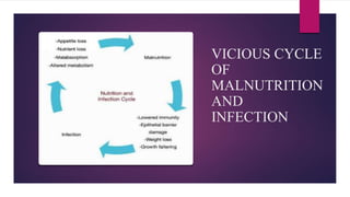 VICIOUS CYCLE
OF
MALNUTRITION
AND
INFECTION
 