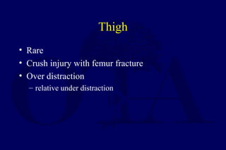 Thigh
• Rare
• Crush injury with femur fracture
• Over distraction
– relative under distraction
 