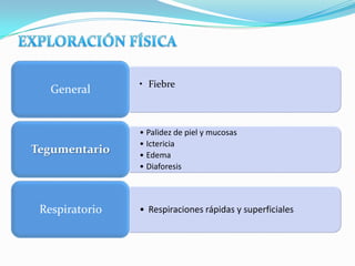 • Fiebre
   General


                • Palidez de piel y mucosas
                • Ictericia
Tegumentario    • Edema
                • Diaforesis



 Respiratorio   • Respiraciones rápidas y superficiales
 