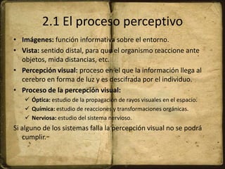 2.1 El proceso perceptivo
• Imágenes: función informativa sobre el entorno.
• Vista: sentido distal, para que el organismo reaccione ante
objetos, mida distancias, etc.
• Percepción visual: proceso en el que la información llega al
cerebro en forma de luz y es descifrada por el individuo.
• Proceso de la percepción visual:
 Óptica: estudio de la propagación de rayos visuales en el espacio.
 Química: estudio de reacciones y transformaciones orgánicas.
 Nerviosa: estudio del sistema nervioso.
Si alguno de los sistemas falla la percepción visual no se podrá
cumplir.
 
