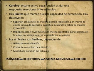 • Cerebro: órgano activo cuya función es dar una
respuesta, reaccionar ante estímulos.
• Hay límites que marcan nuestra capacidad de percepción. Hay
dos niveles:
 Superior: señala nivel de máxima energía registrable, por encima de
este la luz puede quemar la superficie ocular de la retina de manera
irreversible.
 Inferior:señala el nivel mínimo de energía registrable por el sentido de
la vistas, por debajo de él es imposible ver los objetos
• Los umbrales son flexibles, dependen de:
 Hábito de sensibilización
 Contraste con el tipo de estímulo
 Magnitud y duración del estímulo
ESTÍMULO RECEPTORES SISTEMA NERVIOSO CEREBRO
 
