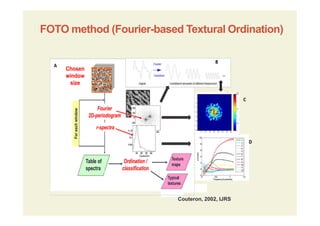 FOTO method (Fourier-based Textural Ordination)
Couteron, 2002, IJRS
 