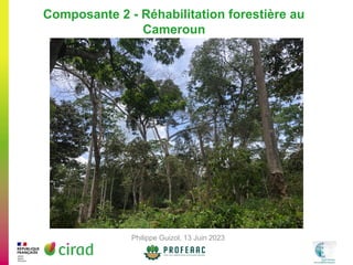 thumbnail of  Composante 2 - Réhabilitation forestière au Cameroun
