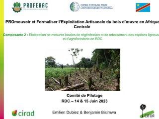 thumbnail of Composante 2: Elaboration de mesures locales de régénération et de reboisement des espèces ligneuses et d'agroforesterie en RDC