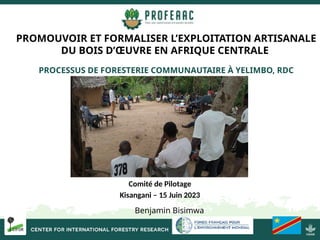 thumbnail of  Processus de Foresterie Communautaire à Yelimbo, RDC