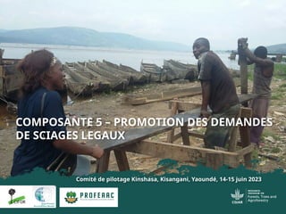 thumbnail of  Composante 5 – Promotion des demandes de sciages legaux