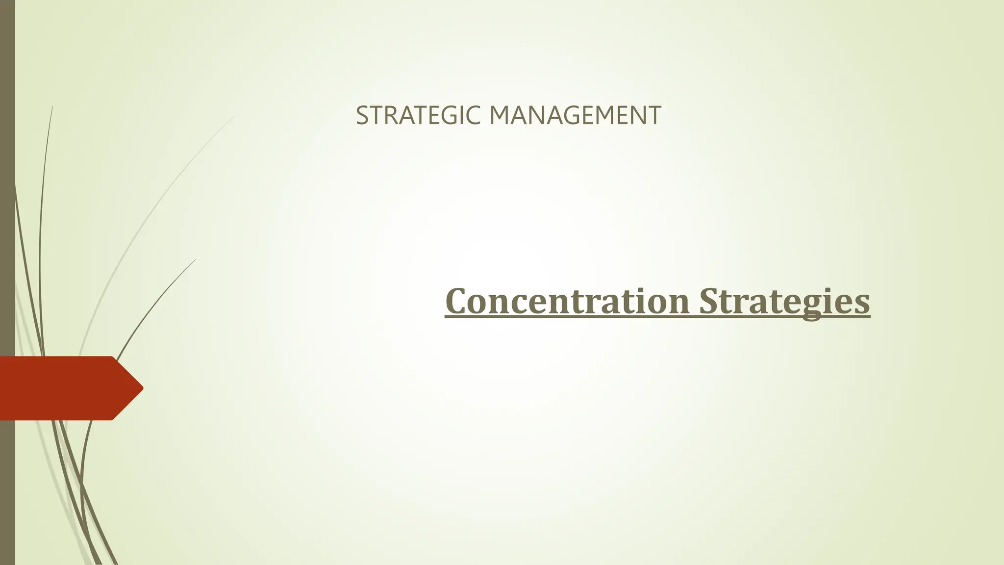 STRATEGIC MANAGEMENT
Concentration Strategies
 