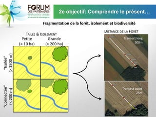 2e objectif: Comprendre le présent…

                           Fragmentation de la forêt, isolement et biodiversité
                                                             DISTANCE DE LA FORÊT
                  TAILLE & ISOLEMENT
                Petite          Grande                                  Transect long
                                                                               500m
              (< 10 ha)       (> 200 ha)
(> 1500 m)
  “Isolée”
“Connectée”




                                                                       Transect court
 (< 200 m)




                                                                                 25m
 
