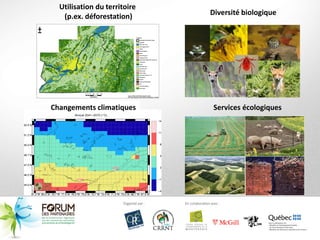 Utilisation du territoire
   (p.ex. déforestation)      Diversité biologique




Changements climatiques        Services écologiques
 