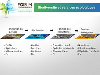 Biodiversité et services écologiques




    Utilisation du                         Fonction des          Services
                      Biodiversité
    paysage                                écosystèmes           écologiques




- Forêts             - Abeilles      - Formation du sol       - Nourriture
- Agriculture        - Bactéries     - Cycle des nutriments   - Filtration de l’eau
- Milieux humides    - Conifères     - Photosynthèse          - Régulation du climat
- Etc.               - Etc.          - Etc.                   - Etc.
 