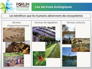 Les services écologiques

Les bénéfices que les humains obtiennent des écosystèmes
 