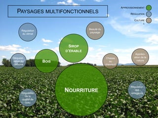 APPROVISIONNEMENT

                                                                     RÉGULATION

                                                                       CULTURE
                                                                                  L

                                      Beauté du
       Régulation
                                       paysage
        du climat




                                `
                             SIROP
                           D’ÉRABLE
                                                                        Appréci-
Séquest-                                           Chasse              ation de la
ration du           BOIS                             au                  nature
carbone                                           chevreuil




                                                                     Régulation

       Régulation
                           NOURRITURE                                   des
                                                                     ravageurs
         de la
       qualité de
         l’eau
 
