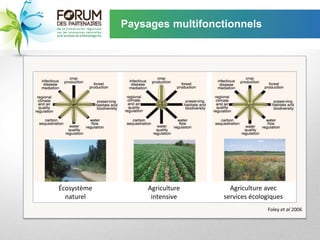 Paysages multifonctionnels




Écosystème        Agriculture     Agriculture avec
  naturel          intensive    services écologiques
                                              Foley et al 2006
 