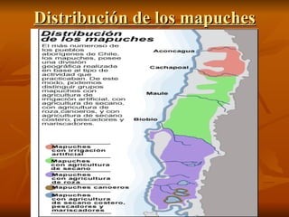 Distribución de los mapuches 