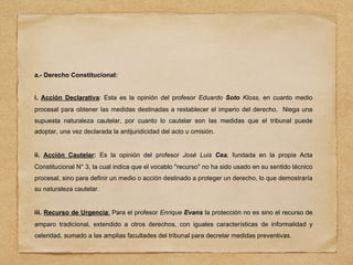 a.- Derecho Constitucional:
i. Acción Declarativa: Esta es la opinión del profesor Eduardo Soto Kloss, en cuanto medio
procesal para obtener las medidas destinadas a restablecer el imperio del derecho. Niega una
supuesta naturaleza cautelar, por cuanto lo cautelar son las medidas que el tribunal puede
adoptar, una vez declarada la antijuridicidad del acto u omisión.
ii. Acción Cautelar: Es la opinión del profesor José Luis Cea, fundada en la propia Acta
Constitucional N° 3, la cual indica que el vocablo "recurso" no ha sido usado en su sentido técnico
procesal, sino para definir un medio o acción destinado a proteger un derecho, lo que demostraría
su naturaleza cautelar.
iii. Recurso de Urgencia: Para el profesor Enrique Evans la protección no es sino el recurso de
amparo tradicional, extendido a otros derechos, con iguales características de informalidad y
celeridad, sumado a las amplias facultades del tribunal para decretar medidas preventivas.
 