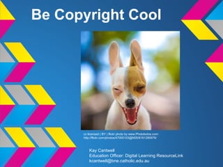 Be Copyright Cool
Kay Cantwell
Education Officer: Digital Learning ResourceLink
kcantwell@bne.catholic.edu.au
cc licensed ( BY ) flickr photo by www.Photobotos.com:
http://flickr.com/photos/47000103@N05/8161295976/
 