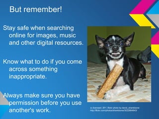 But remember!
Stay safe when searching
online for images, music
and other digital resources.
Know what to do if you come
across something
inappropriate.
Always make sure you have
permission before you use
another's work.
cc licensed ( BY ) flickr photo by david_shankbone:
http://flickr.com/photos/shankbone/3022864843/
 
