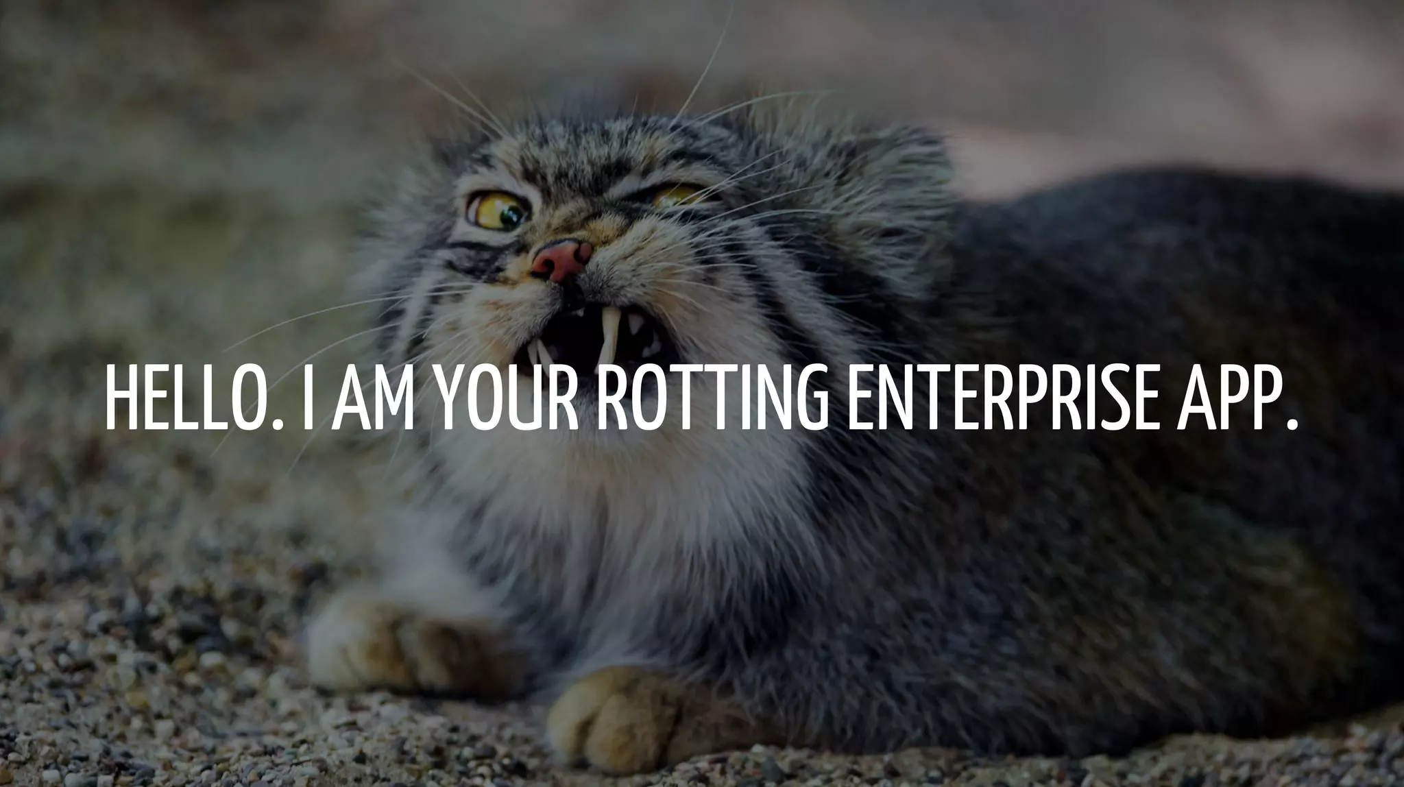 HELLO. I AM YOUR ROTTING ENTERPRISE APP.
 