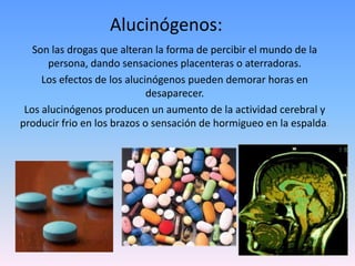Alucinógenos:Son las drogas que alteran la forma de percibir el mundo de la persona, dando sensaciones placenteras o aterradoras.Los efectos de los alucinógenos pueden demorar horas en desaparecer. Los alucinógenos producen un aumento de la actividad cerebral y producir frio en los brazos o sensación de hormigueo en la espalda.