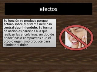 efectosSu función se produce porque actúan sobre el sistema nervioso central deprimiendolo. Su forma de acción es parecida a la que realizan las encefalinas, un tipo de endorfinas o compuestos que el propio organismo produce para eliminar el dolor. 
