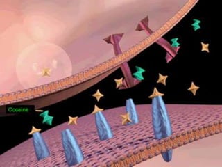 graciasIsabella  V , Karla Z,Manuela V, Ernesto V, Gian Pierre V