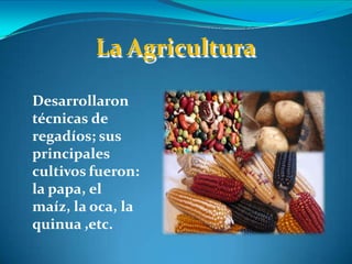 Desarrollaron
técnicas de
regadíos; sus
principales
cultivos fueron:
la papa, el
maíz, la oca, la
quinua ,etc.
La Agricultura
 