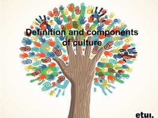 1
Formation des Euroformateurs
Rome 2011
Definition and components
of culture
 