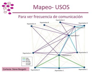 Taller de Capacitación: Metodología para Mapeo y Análisis de Redes