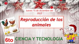 Reproducción de los
animales
6to
Jueves 15 de diciembre del
2022
 