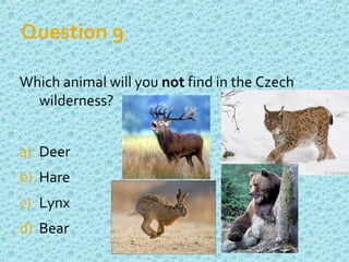 Question 9
Which animal will you not find in the Czech
wilderness?
a) Deer
b) Hare
c) Lynx
d) Bear
 