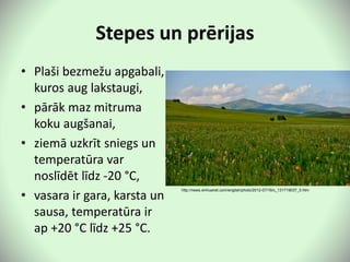 Stepes un prērijas
• Plaši bezmežu apgabali,
kuros aug lakstaugi,
• pārāk maz mitruma
koku augšanai,
• ziemā uzkrīt sniegs un
temperatūra var
noslīdēt līdz -20 °C,
• vasara ir gara, karsta un
sausa, temperatūra ir
ap +20 °C līdz +25 °C.
http://news.xinhuanet.com/english/photo/2012-07/16/c_131719037_5.htm
 