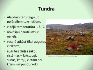 Tundra
• Atrodas starp taigu un
polārajiem tuksnešiem,
• vidējā temperatūra -15 °C,
• nokrišņu daudzums ir
neliels,
• vasarā atkūst tikai augsnes
virskārta,
• augi bez dziļas sakņu
sistēmas – lakstaugi,
sūnas, ķērpji, vietām arī
krūmi un pundurkoki.
http://commons.wikimedia.org/wiki/File:Nunavut_tundra_-c.jpg
 
