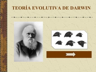 TEORÍA EVOLUTIVA DE DARWIN
 