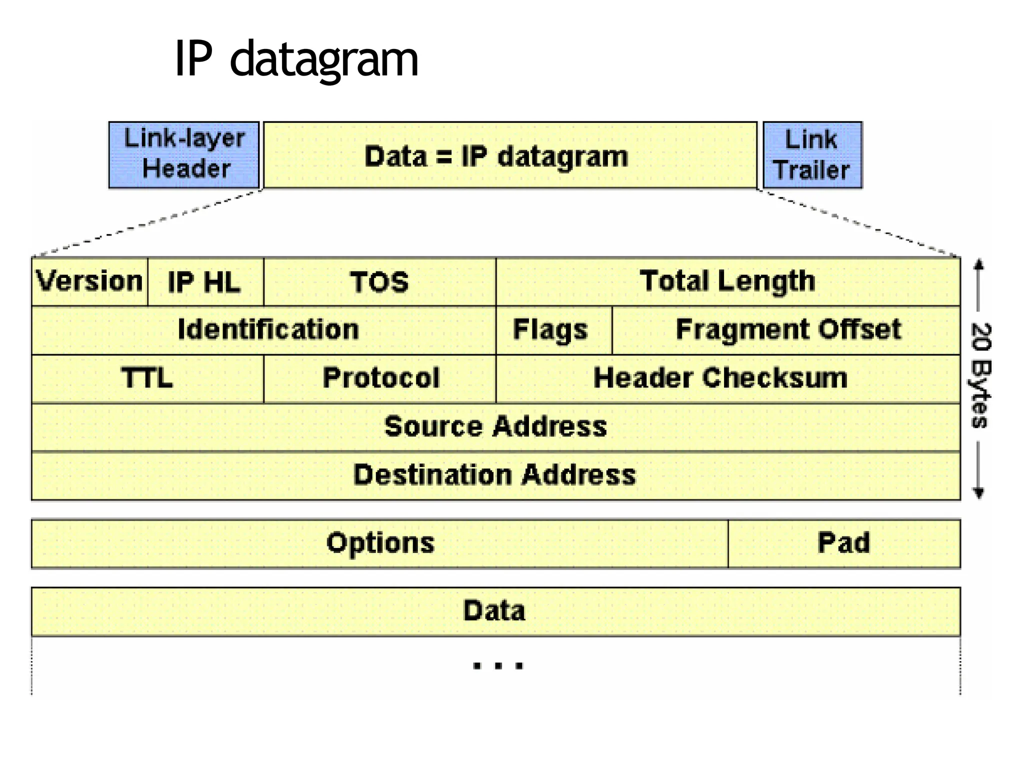 IP datagram
 