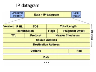 IP datagram
 