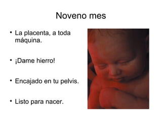 Noveno mes

La placenta, a toda
máquina.

¡Dame hierro!

Encajado en tu pelvis.

Listo para nacer.
 