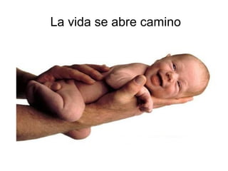 La vida se abre camino
 